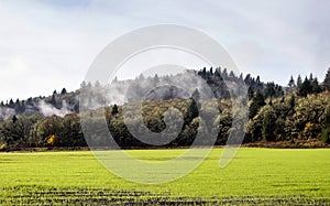 Misty Oregon hills over green field