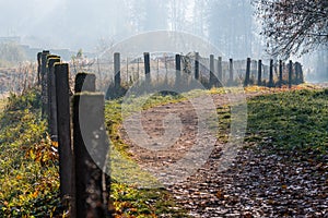 Misty path in the park on early foggy sunny autumn morning. Old