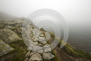 Misty pathway