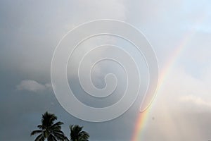 Misty rainbow on a hazy day in a tropical location with palm trees