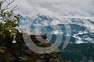 Misty rainy morning landscape