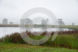 A misty and rainy morning overlooking a birdwatching pond