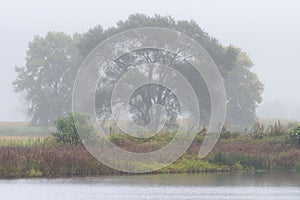 A misty and rainy morning overlooking a birdwatching pond