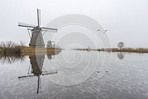 Misty and rainy windmill sunrise