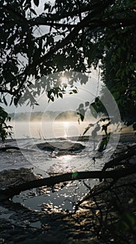 Misty river at sunrise with silhouettes of trees