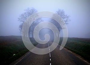 The misty road (2)