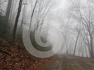 Misty roadbed in the Appalachians photo