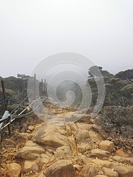 Misty scenery with red dirt roads in the forest.