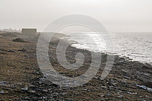 Misty shoreline with reflections