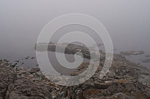 Misty Shoreline Rocks
