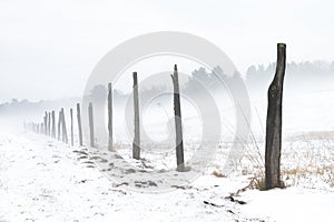 Misty, snowy, morning in a field featuring rustic wood fence posts.