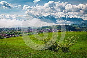 Misty spring landscape with green fields and snowy mountains, Romania