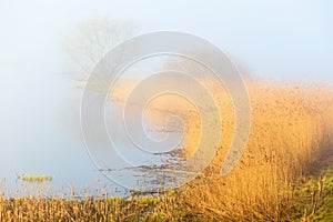 Misty spring morning lake