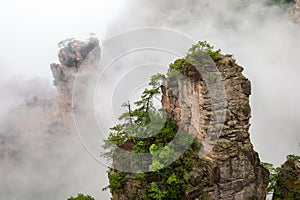 Misty steep mountain peaks - Zhangjiajie national