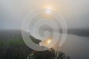 Misty summer morning sunrise on a marsh wetland.