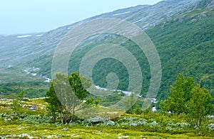 Misty summer mountain with river (Norway)