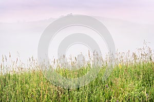 Misty Summer Sunrise in the Mountains: Tall Grass, Thick Fog over a Mountain, Trees and Dramatic Purple Clouds in Background. New