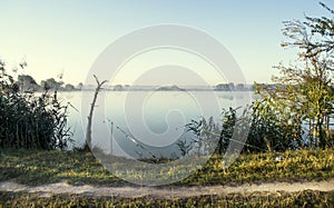 Misty sunrise over a lake summer morning