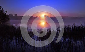 Misty Sunrise reflected in a still lake, silhouetting Bulrushes photo