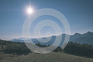 misty sunrise in Slovakian Tatra mountains with light lanes in fog over dark forest. autumn in hiking trails - vintage old film