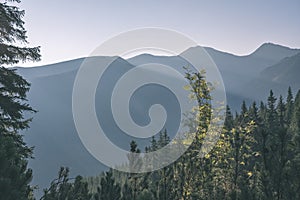 Misty sunrise in Slovakian Tatra mountains with light lanes in fog over dark forest. autumn in hiking trails - vintage old film