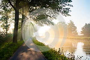 Misty Sunrise on a Tranquil Country Road by the River