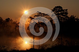 Misty sunrise in Viru Bog photo