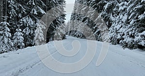 Misty sunset on the snowy mountains aerial drone point of view forests cross country paths in pine trees winter with