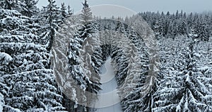 Misty Sunset on the Snowy Mountains aerial drone point of view Forests cross country paths in pine trees winter with