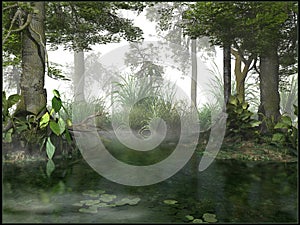 Misty swamp