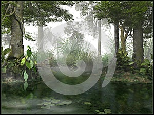 Misty swamp photo