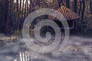 Misty swamp landscape with a tree hut at the river side, jungle nature scenery