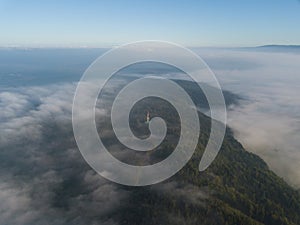 Misty trees from above. Aerial view of Morning fog and sunrise in autumn. Beautiful romantic atmosphere in landscape. Summer time