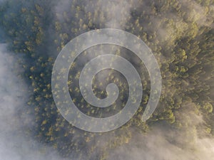 Misty trees from above. Aerial view of Morning fog and sunrise in autumn. Beautiful romantic atmosphere in landscape. Summer time