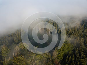 Misty trees from above. Aerial view of Morning fog and sunrise in autumn. Beautiful romantic atmosphere in landscape. Summer time