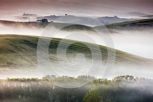 Misty Tuscany Landscape at dawn