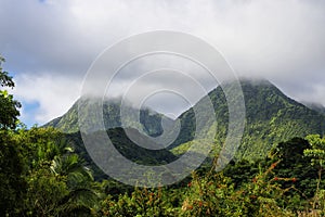 The misty twin peaks, Martinique, Lesser Antilles photo