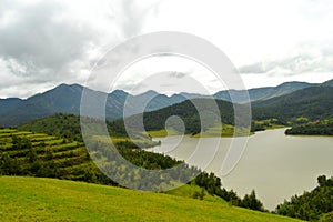 Misty valley in Emerald Nilgiris