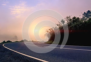 Misty Vibe of a Morning drive