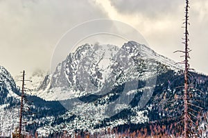 Misty view of Lomnicky Peak from Hrebienok, Slovakia photo