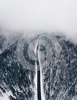 Misty weather on road in winter time in the forest