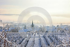 Misty winter landscape over a village and snow-covered vinyards