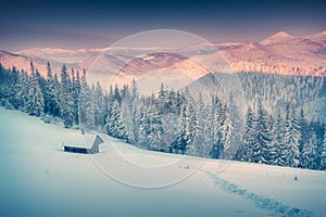 Misty winter morning in the Carpathian mountains.