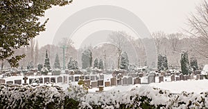 Misty winter morning graveyard