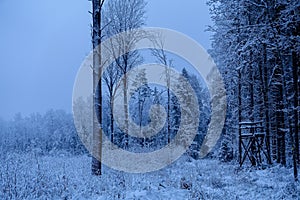 misty winter morning in the woods with a hunting tower