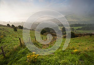 Misty yorkshire dales valley in autumn