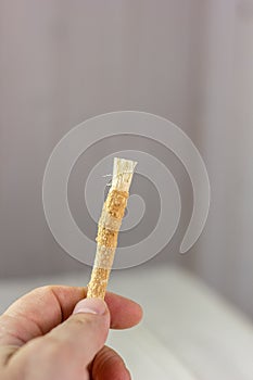 Miswak or siwak - arabian toothbrush for tooth cleaning on white.