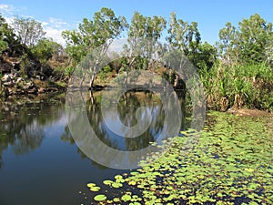 Mitchell falls, kimberley, west australia