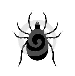 Mite black silhouette. Pest insect symbol. Insecticide icon. Bloodsucking bug photo