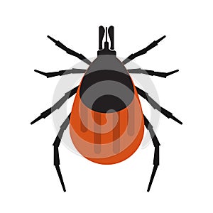 Mite bugs illustration.